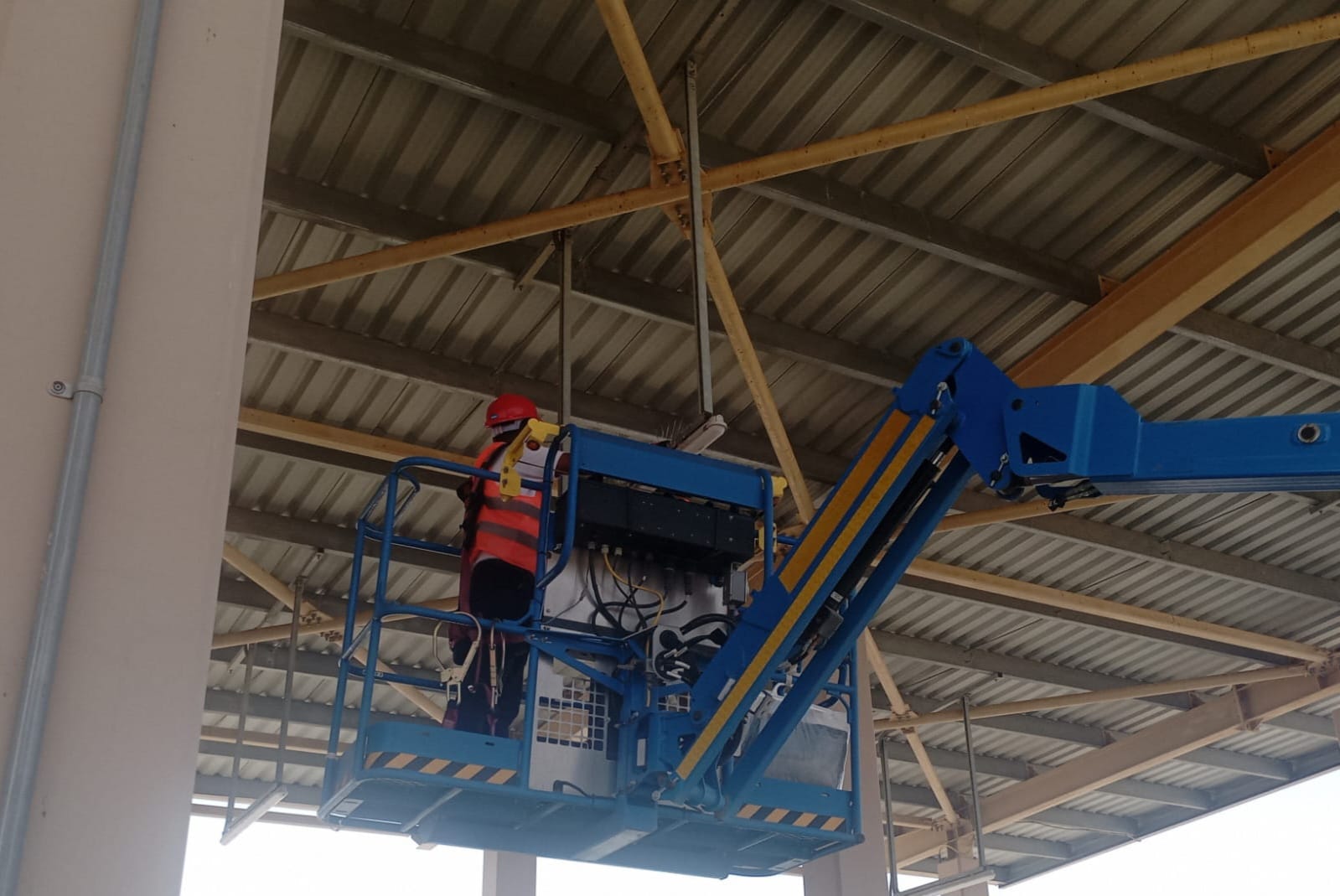 Novaroots Project 65